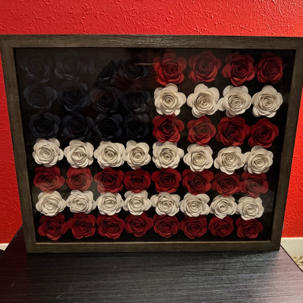 Framed Red, White, and Black Rose Art